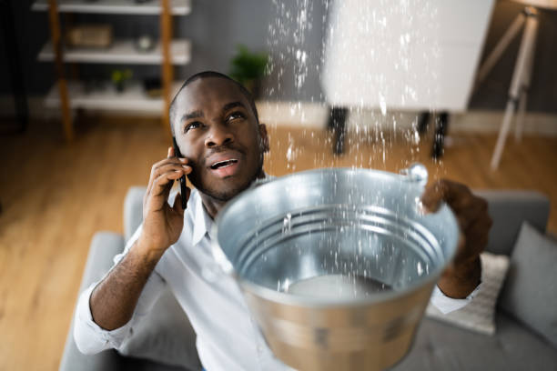 Best 24-hour water damage restoration  in Royalton, MN