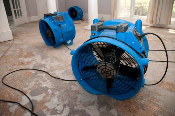 Best Flood restoration services  in Royalton, MN