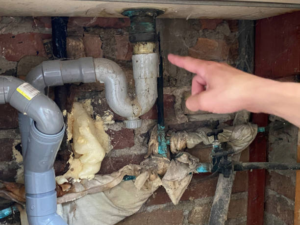 Best Emergency water damage restoration  in Royalton, MN